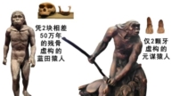 进化骗局(10) 两“猿人”淡出课本