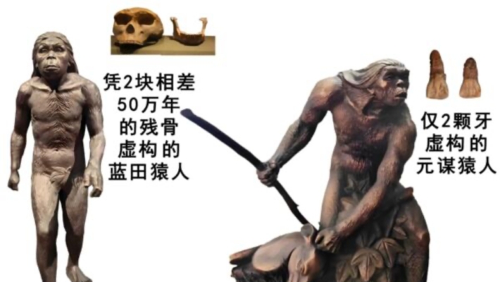 進化騙局(10) 兩「猿人」淡出課本