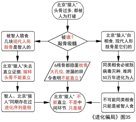 進化騙局(9) 九問「北京猿人」(下)