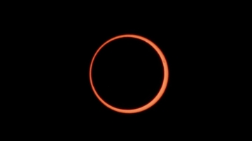 大年初一將出現日環食 南極企鵝看得到