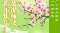 廣東、湖南、江蘇法輪功學員恭祝李洪志大師新年好(102條)