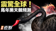 【新聞直擊】震驚全球！馬年黑天鵝預測