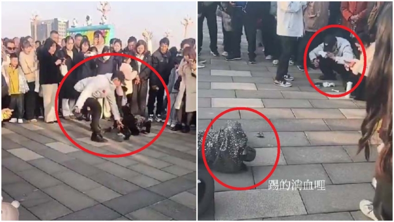 中國機器人表演突倒地痙攣 把主人臉踢傷（視頻）