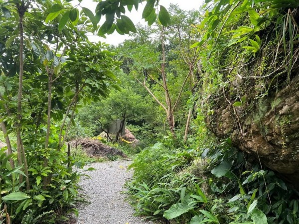 淡蘭古道慢旅 走進平溪紫東體驗生態秘境