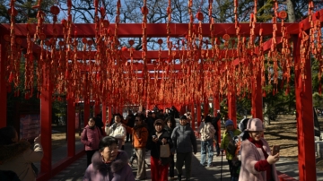 大年初五迎財神 必備「五色果」好運旺旺來