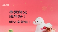 廣東、廣西、海南、湖南、江蘇法輪功學員恭祝李洪志大師新年好(158條)