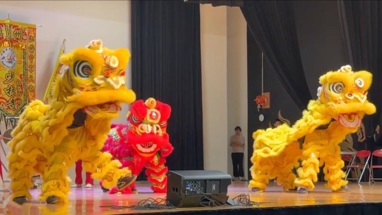 中國城馬年園遊會 各級政要與數千民眾同慶