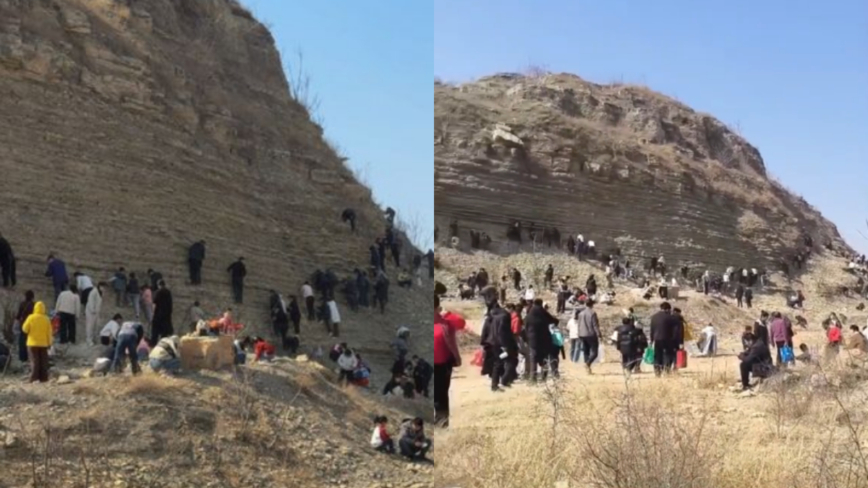 ɽ������Ҷ�滯ʯ ���ڷ���ھ� ���ֽ�����ɽ