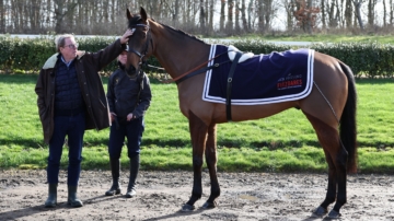 馬嘶鳴藏情緒雙音 科學家揭鳴聲祕密