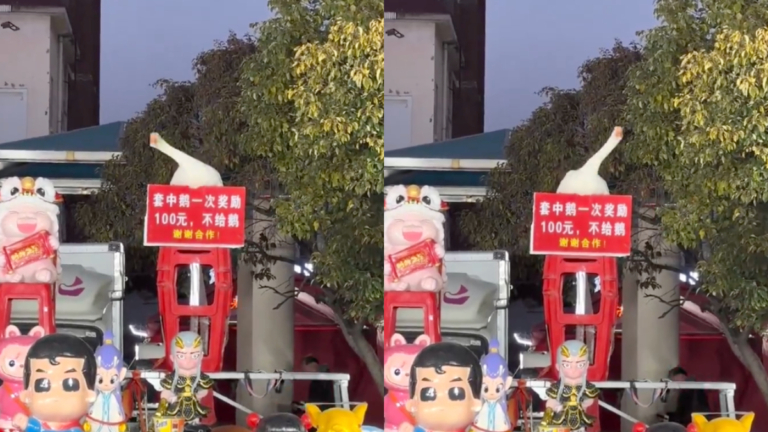 安徽「搖擺鵝」走紅 有人一萬元求購被拒（視頻）