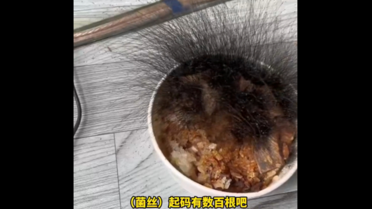 驚呆！中國男年後返工 牛肉飯長出15公分「黑髮」