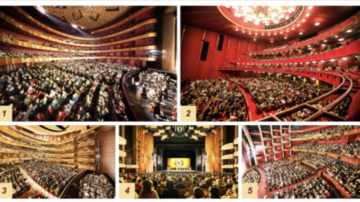 王友群：中共之瘋狂驚澳洲 神韻美名傳全球