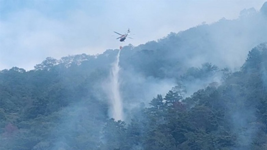 南投埔里森林大火因強風復燃 燒毀約40公頃林地