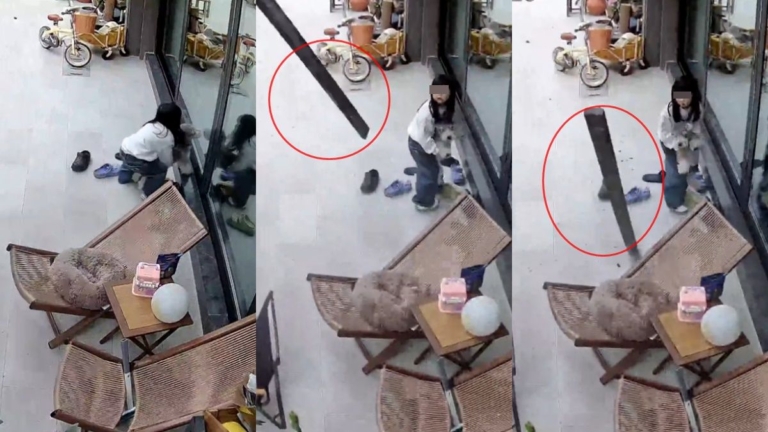 狗狗拚命示警救下小女孩 驚險一幕曝光（視頻）