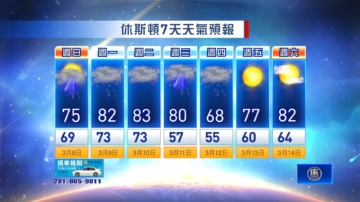 休斯顿天气预报（3月8日至14日）