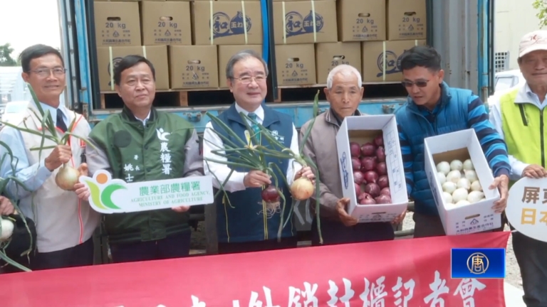 恆春洋蔥首批封櫃銷日本 今年有望突破600公噸