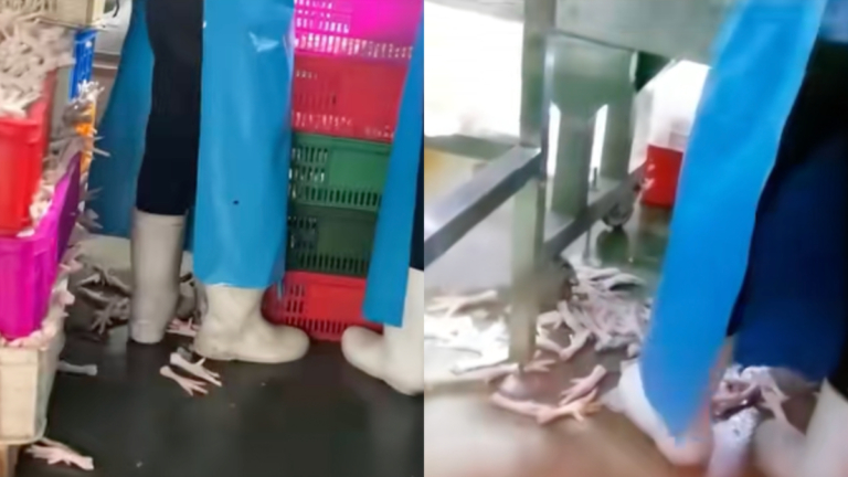 中共打假被指作秀 消費者仍吃毒食品（視頻）