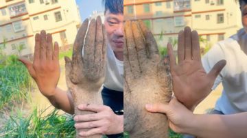 廣東老人挖出「淮山手」 當場嚇一跳（視頻）