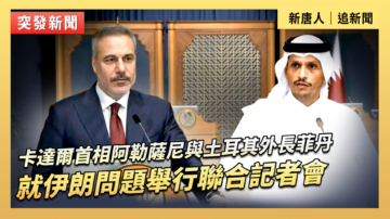 【直播】卡達爾首相阿勒薩尼與土耳其外長菲丹就伊朗問題舉行聯合記者會