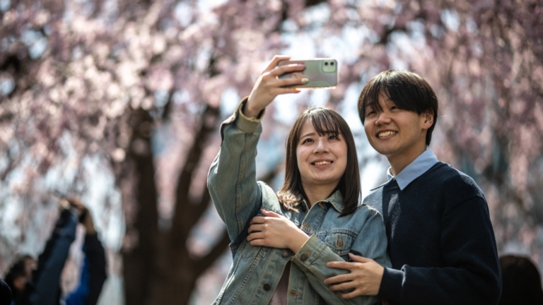 北半球次第迎來春天 日本、英國櫻花綻放