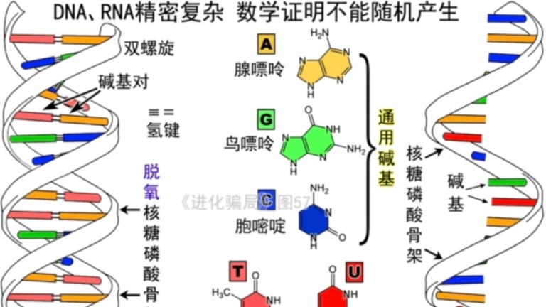 進化騙局(17) 基因進化 調包被抓