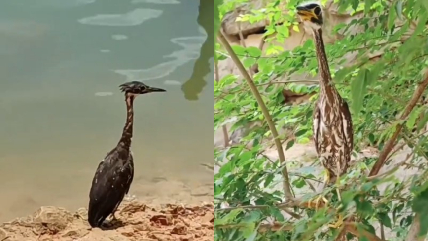 ���������������ࡱ�����㶫 ������ò�ع�