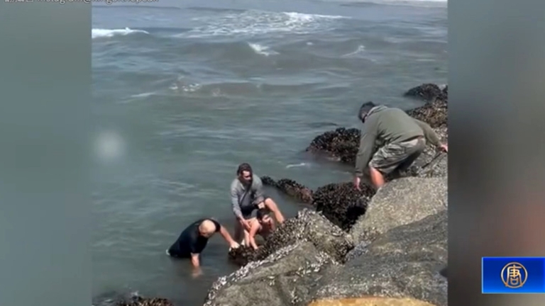 遭遇暗流 慈父救女雙雙遇險 衝浪教練出手救人