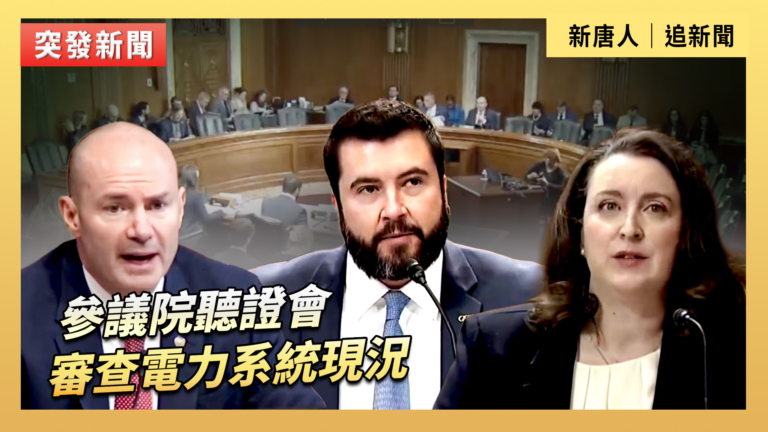 【直播】參議院聽證會：審查電力系統現況