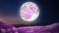 四月的「粉紅滿月」將照亮夜空 迎接春天