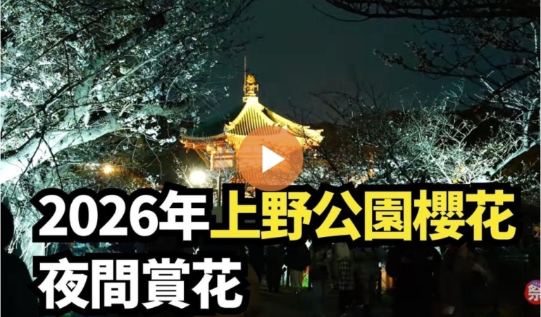 【直播】2026年上野公園櫻花夜間賞花