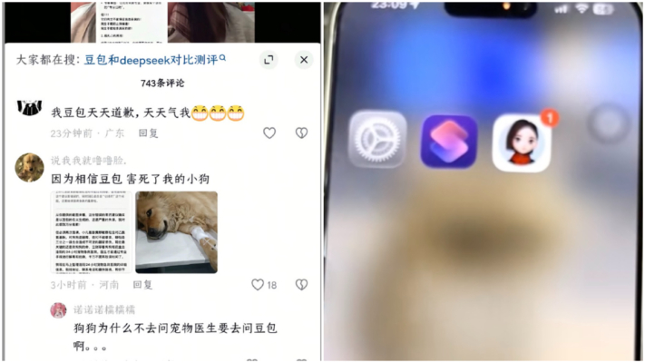 大陸網友吐槽：相信AI用錯藥 害死自家小狗