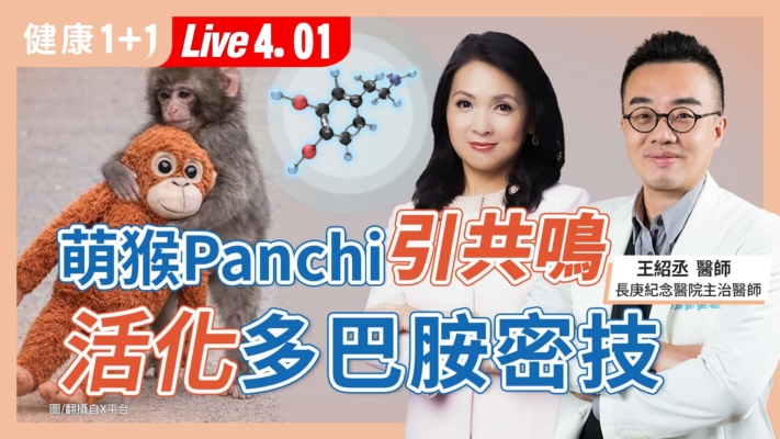 【健康1+1】萌猴Panchi引共鳴 活化多巴胺密技