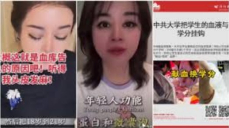 女富豪曝換年輕人血液｢回春｣ 海爾集團急切割