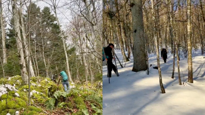 中國人「走線」德國 徒步穿越雪山和隧道（視頻）