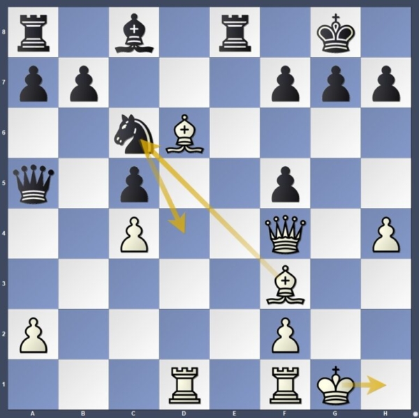 國際棋聯候選人賽第5輪:辛達羅夫強勢領跑
