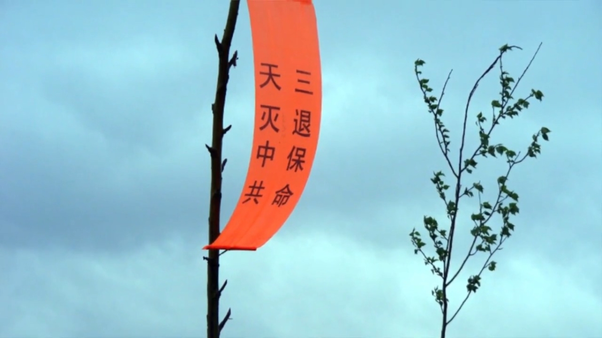 【禁闻】黑龙江法官图谋将94岁老人劫入监狱