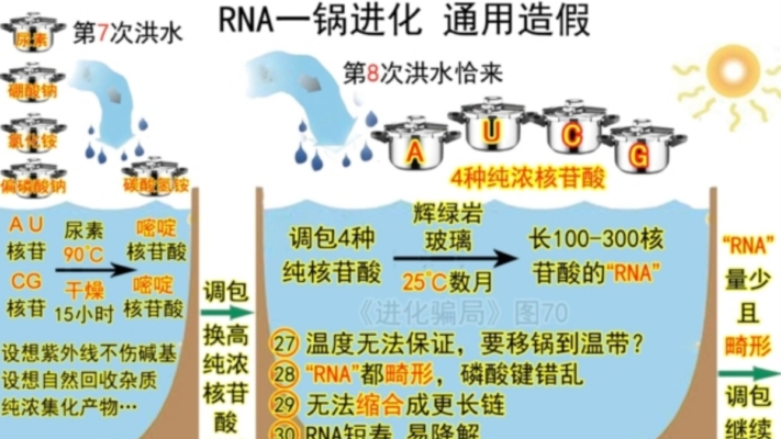 進化騙局(22) RNA生成的荒誕戲