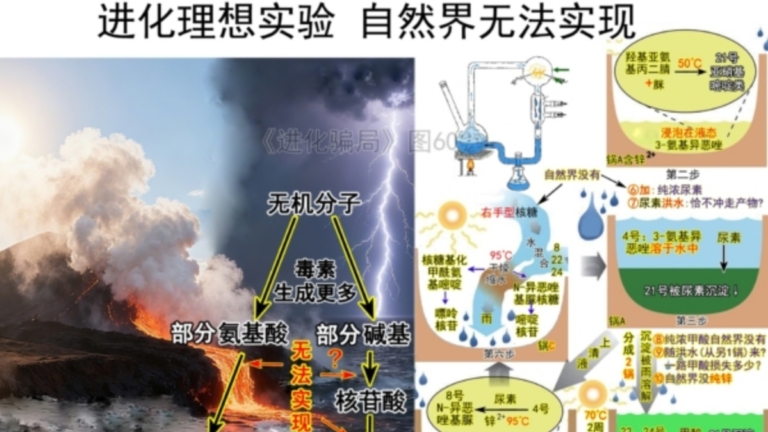 進化騙局(18) 進化實驗 假冒自然
