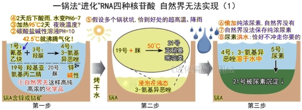 進化騙局(18) 進化實驗 假冒自然