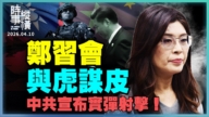 【時事縱橫】鄭習會 與虎謀皮？統戰虛幻 曲解和平