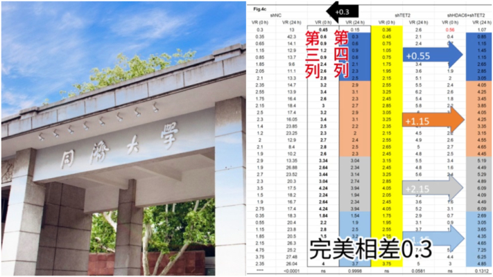 數據全是拼湊？同濟教授百萬經費《Nature》論文翻車