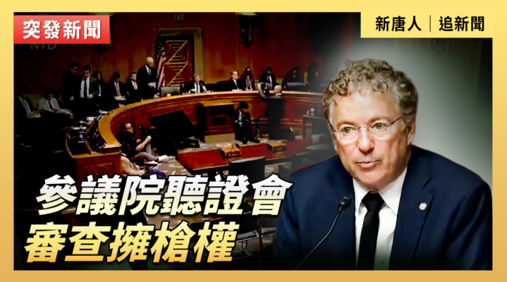 【直播】參議院聽證會：審查擁槍權
