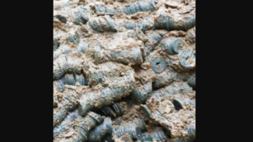 湖南一工地发现约3吨古钱币 涵盖40余年号