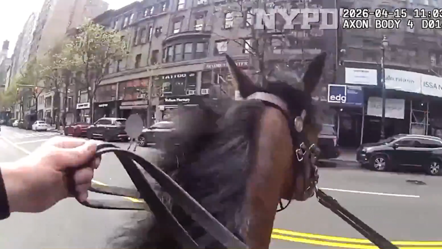 纽约市骑警骑马闹市区追窃贼 相当潇洒