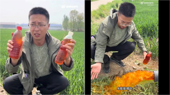 河北麥田水如冰紅茶 村民灌溉小麥自己不吃