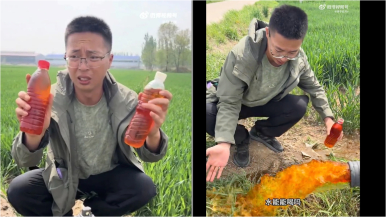 河北麥田水如冰紅茶 村民灌溉小麥自己不吃
