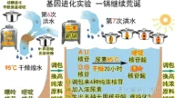 進化騙局(21) 「一鍋反應」的荒謬