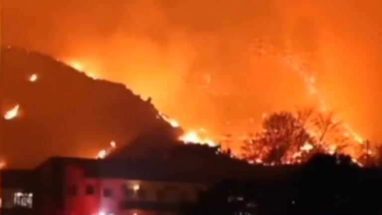 日本岩手森林大火 燒毀7棟建築疏散2500人