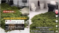 麗水茶農在公厠晾茶葉 官方回應被指撒謊