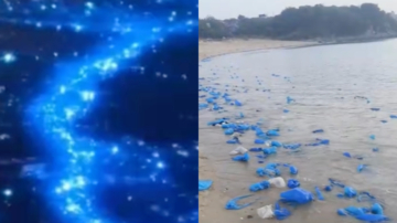 福建现“蓝眼泪”奇观 被2公里垃圾带煞风景